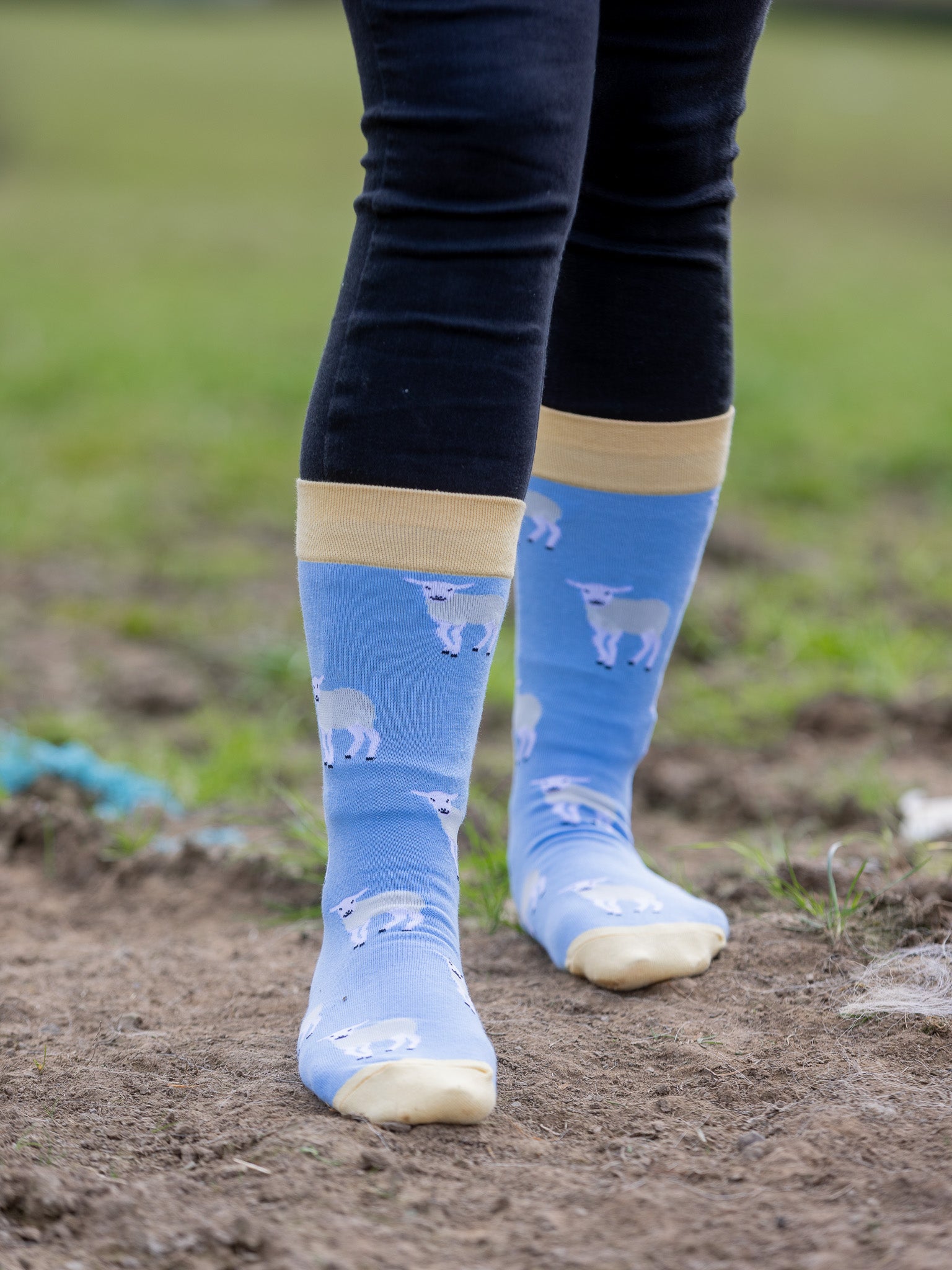 Cosy crew lamb socks on a sky blue background and pastel yellow top, heel and toe.