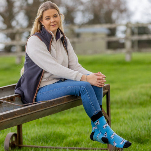 Country and farm themed dairy cow crew socks. Black and white cows on a sky blue background with a black top, heel and toe.