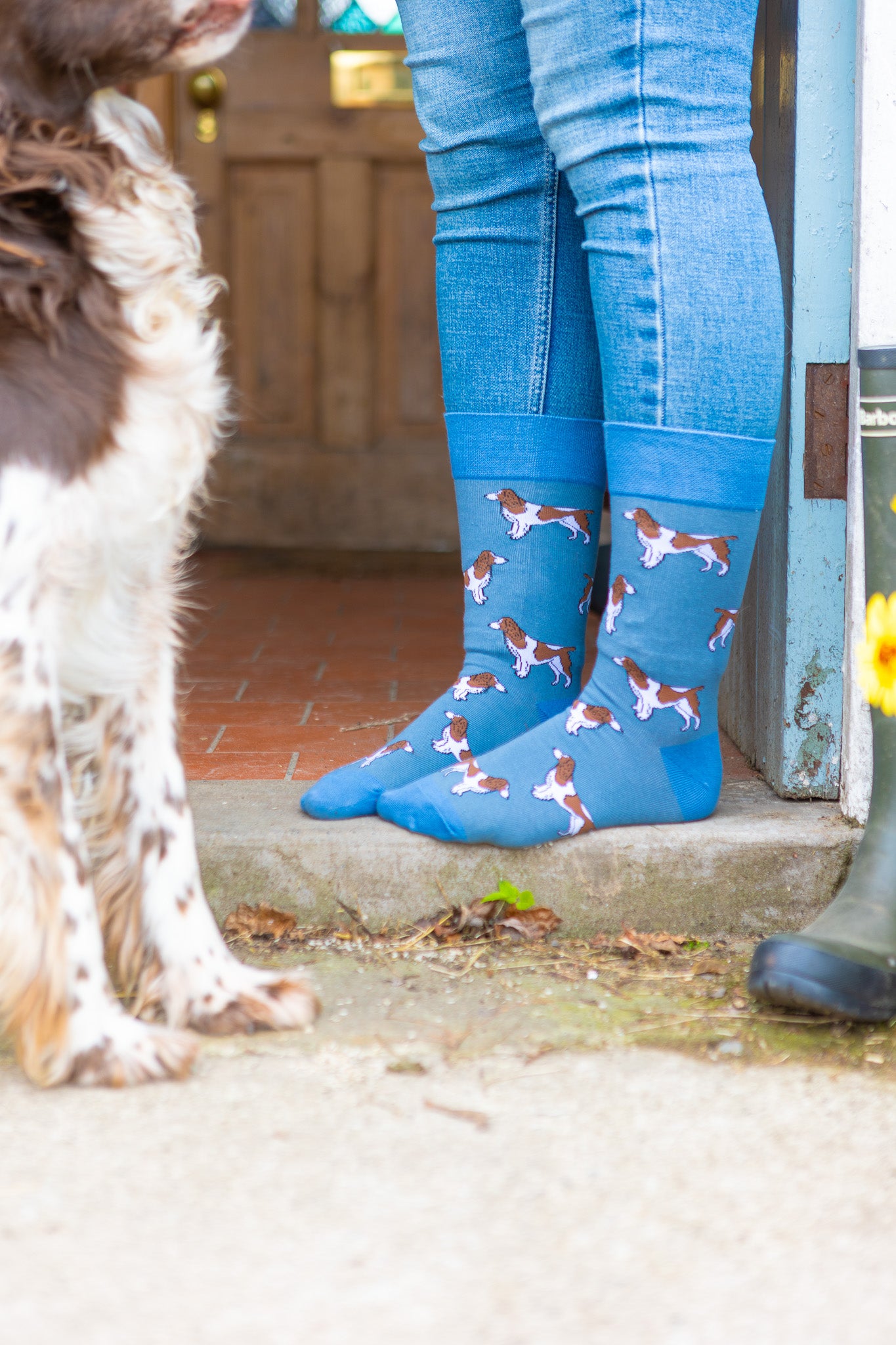 Adorable springer spaniel socks set against a lovely blue background, designed for dog lovers and countryside enthusiasts who appreciate country fashion. Featuring playful springer spaniel motifs, these cozy socks blend comfort and style, making them an ideal accessory for casual outings or relaxing at home. A perfect gift for pet lovers, adding a touch of charm to any outfit