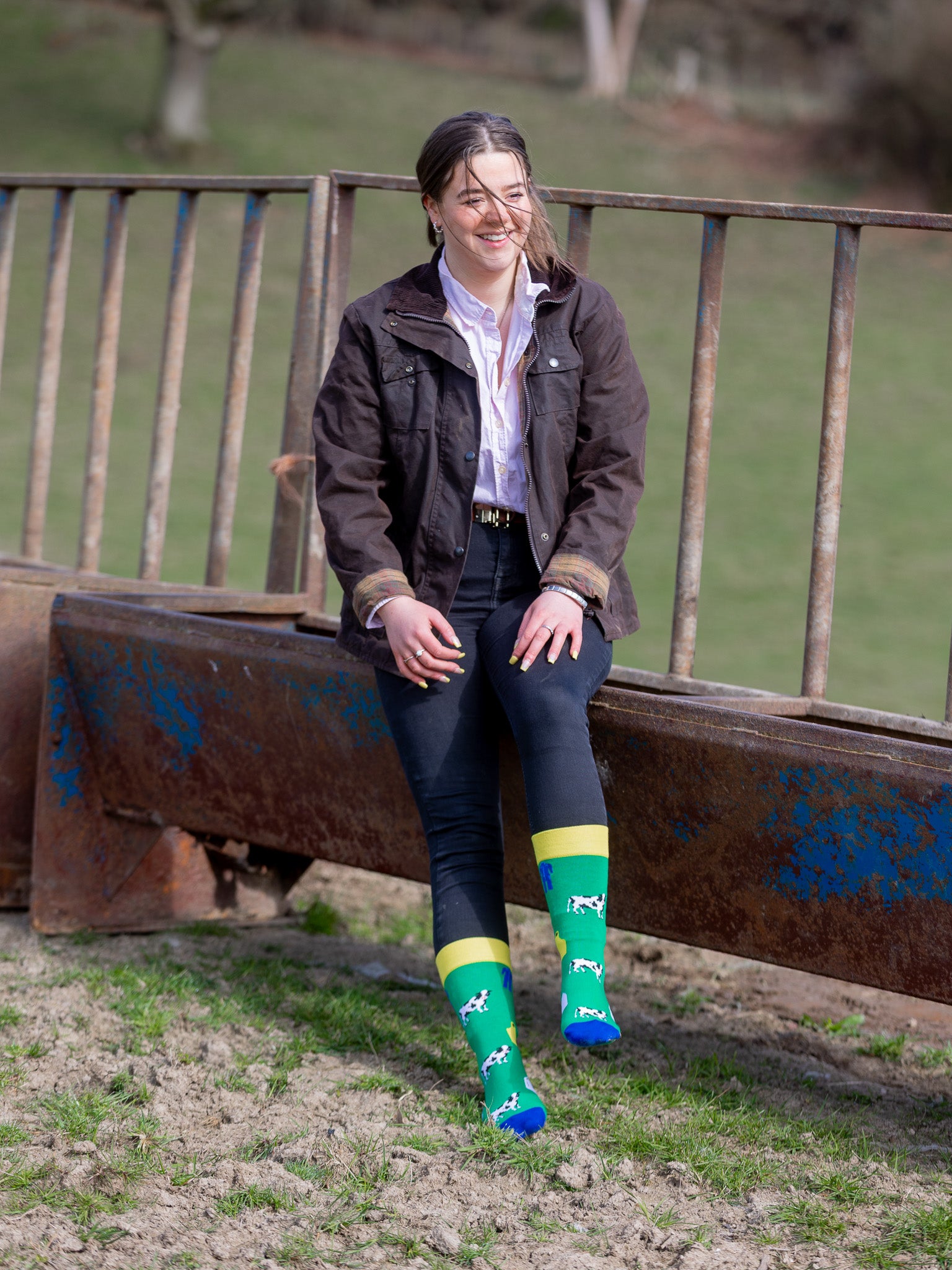 Dairy cow socks. The perfect crew socks for dairy farmers. Sporting black and white cows, milk bottles, blue overalls and yellow identification tags, on a bottle green background, yellow top and blue heel and toe.