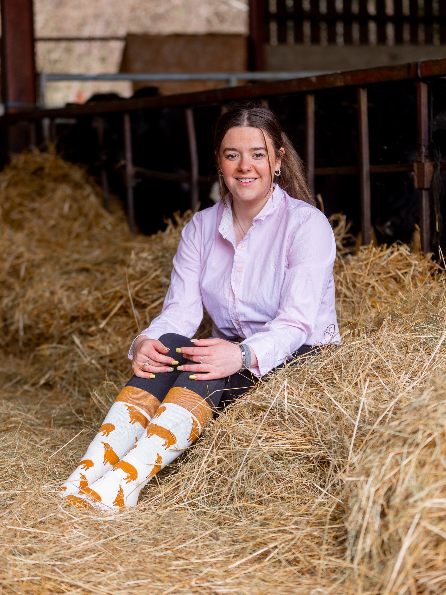 Cow socks with a crew socks style. These unisex socks sport bold brown cows on a cream background and matching brown top, heel and toe.