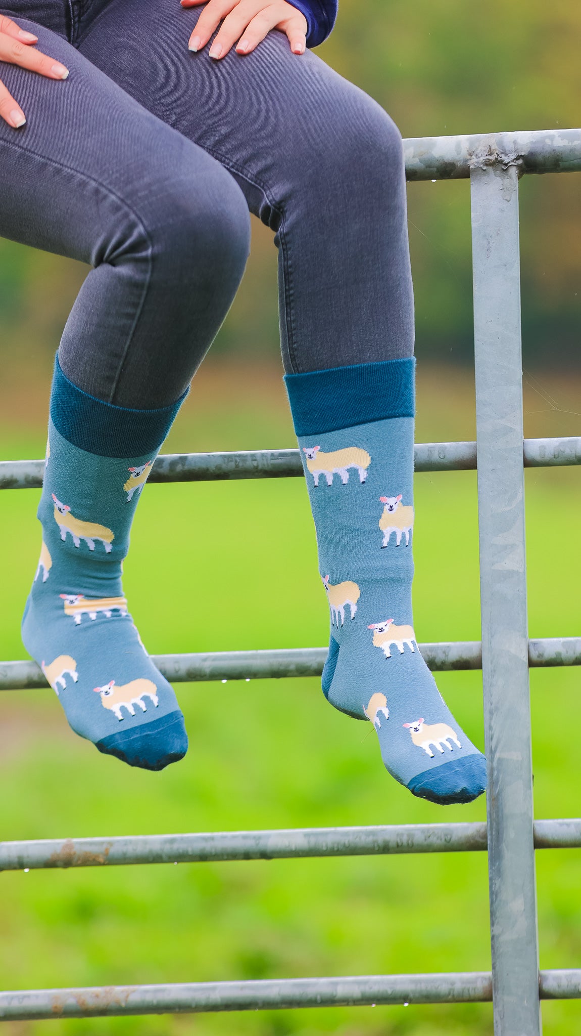 Unisex sheep socks. These Unique Texel sheep socks are a crew design with Cream sheep on a light blue background and a darker blue top, heel and toe.