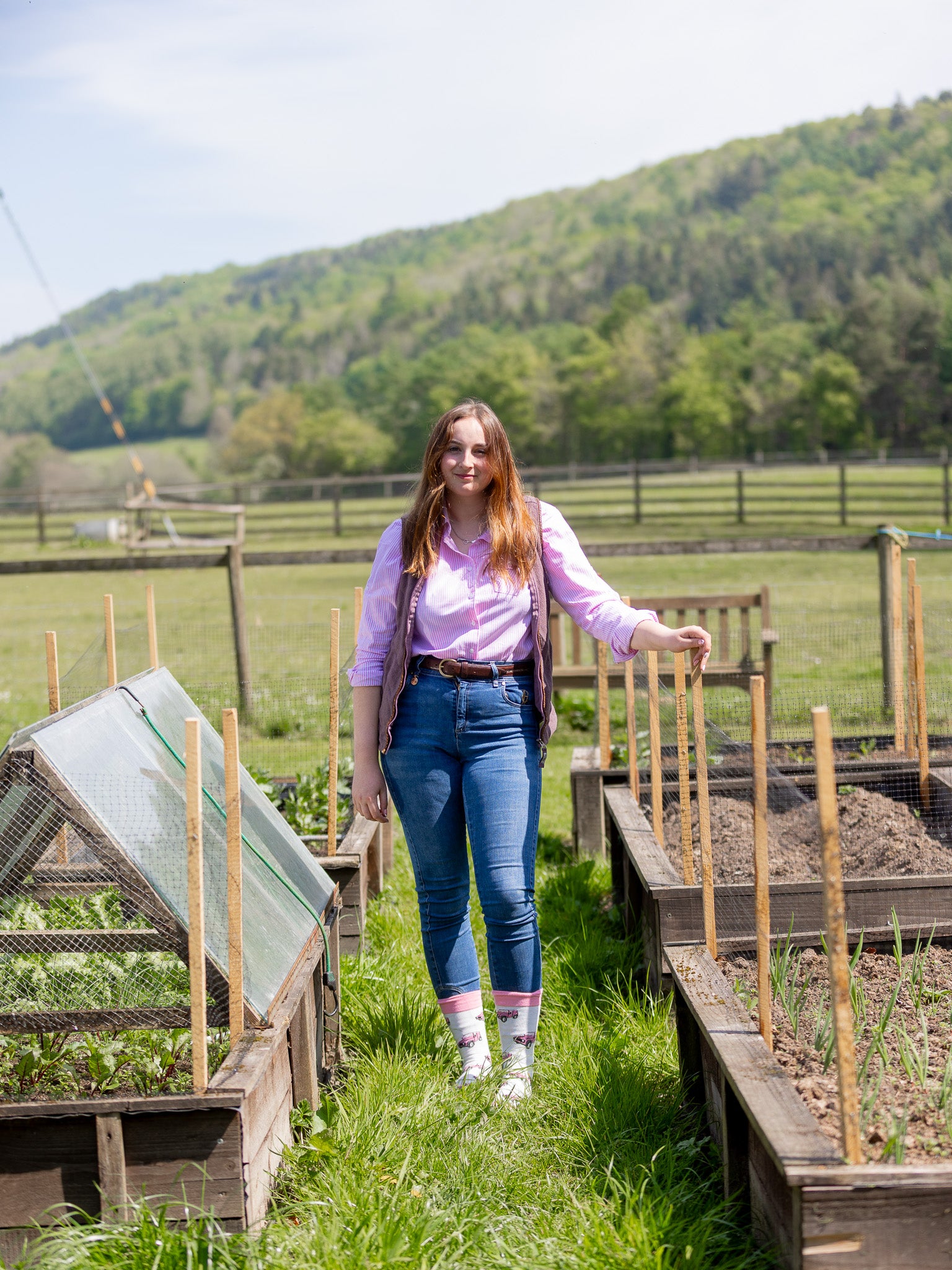 Cosy Land rover socks. These crew socks have vibrant pink Land Rovers on a cream background and matching pink top, heel and toe.