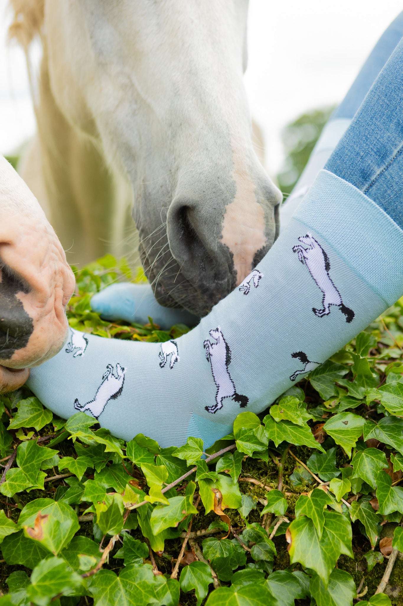 Grey horse socks. These cosy crew socks sports grey rearing horses on a light blue background and a darker elegant blue top, heel and toe.