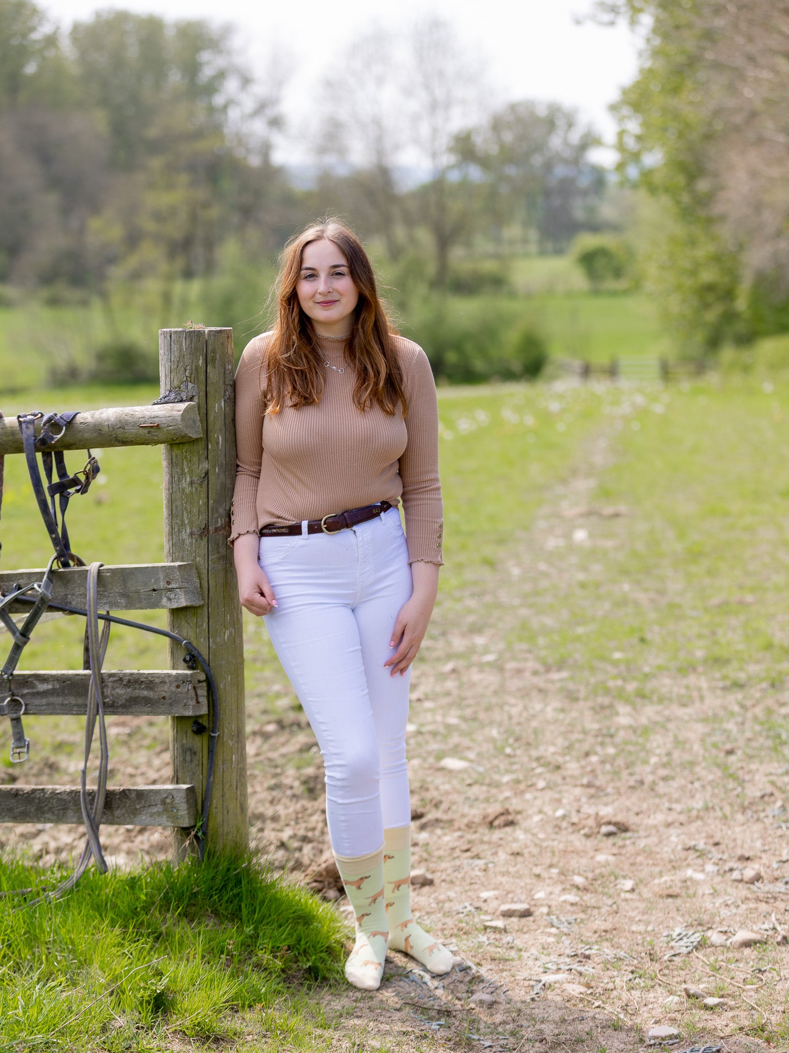 Unisex dog socks. These cosy red Labrador crew socks sport red Labradors on a light lime green background and pastel yellow top, heel and toe.