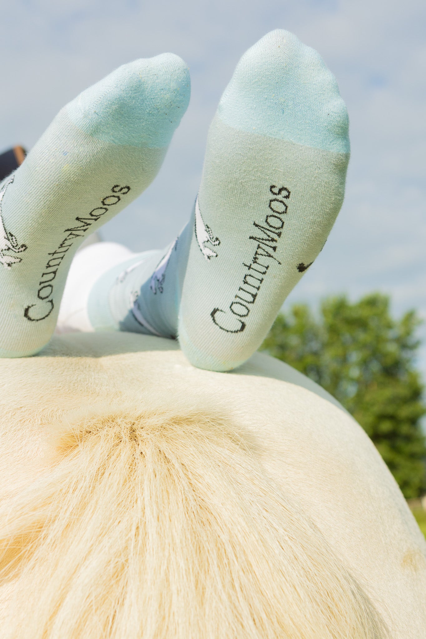 Unisex horse socks. These unique cosy crew socks sport grey rearing horses on a light blue background and darker blue top, heel and toe.