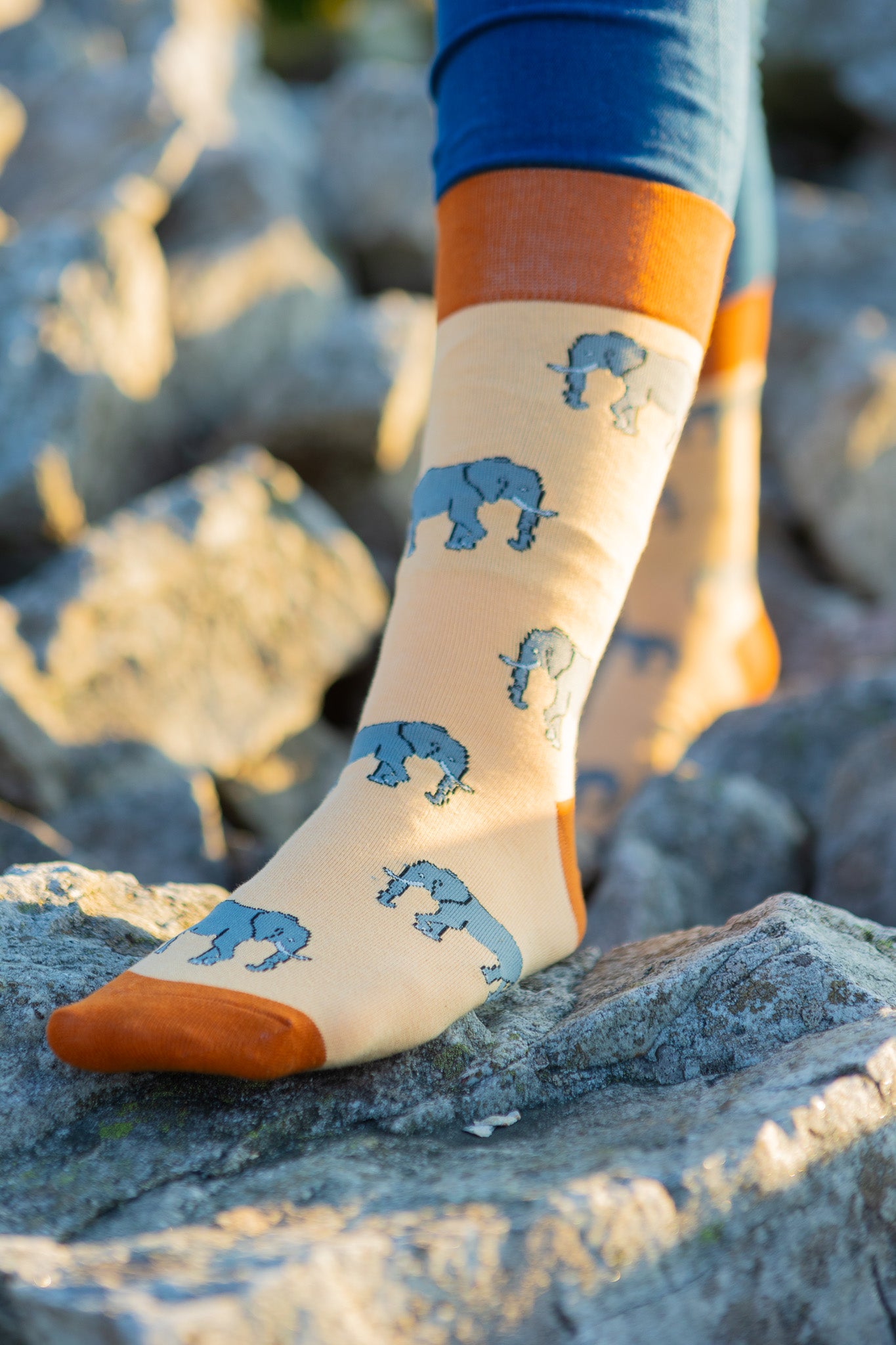 Charming elephant socks featuring adorable elephant designs on a lovely light peach background, complemented by burnt orange tops, heels, and toes. These trendy socks are perfect for animal lovers and add a playful touch to your everyday outfits. Ideal for comfort and style, these socks make a wonderful addition to any wardrobe, bringing a pop of color and fun to your sock collection