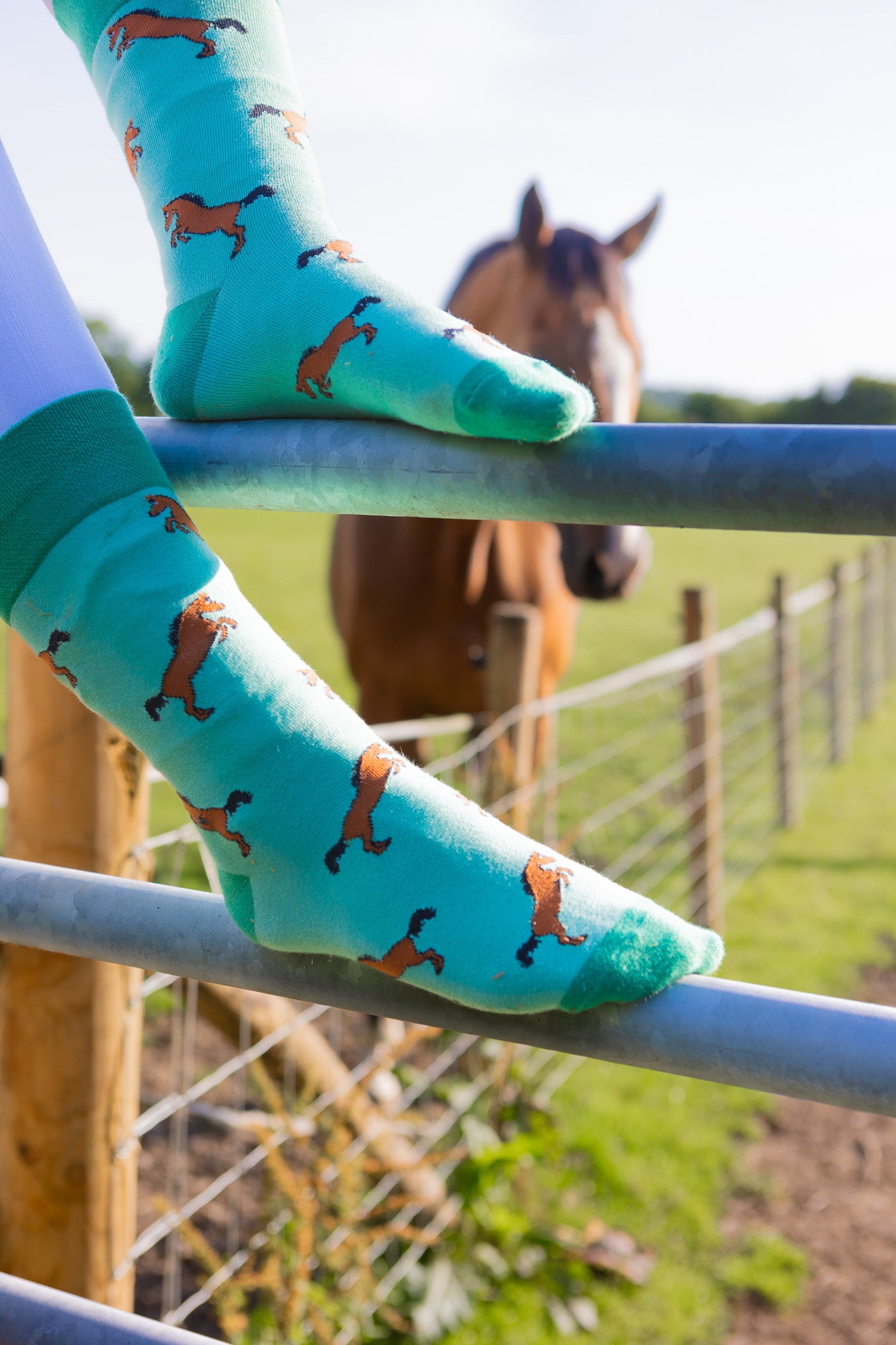 Elegant green-themed horse socks featuring stunning bay/brown rearing horses on a light green background with a contrasting green top, heel and toe.