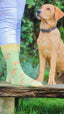 Show your country style and love for dogs with our red Labrador crew socks! Featuring playful Labrador designs, these vibrant and comfortable socks are perfect for dog lovers. Made from soft, breathable material, they’re ideal for any occasion, whether at home or out on the go. Elevate your look and showcase your passion for Labradors with every step!