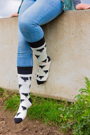 Belted Galloway cow socks designed with charming black and white Belted Galloway illustrations on a light cream background, complemented by black accents on the top, heel, and toe. These cozy socks are perfect for cow and countryside enthusiasts, offering a elegant touch to any country farm inspired outfit.