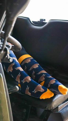 Highland Cow Welly Socks | Extra Long