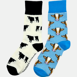 Set of stylish cow themed socks featuring a playful black and white belted Galloway cow design alongside vibrant blue striped cow socks. Perfect for animal lovers and farm enthusiasts, these comfortable socks add a countryside touch to any outfit while providing all-day wearability and charming country flair.