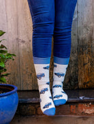 Land rover socks, these crew style socks covered in blue land rovers on an elegant cream background with blue top, heel and toe. 