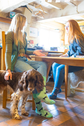 Adorable black Labrador socks set against a lovely light mint green background, designed for dog lovers and fans of countryside fashion. These cozy socks feature playful Labrador motifs, making them a perfect accessory for any casual outfit. Ideal for those who appreciate a touch of whimsy and comfort, these socks celebrate the bond between dogs and their owners while enhancing your country-inspired wardrobe