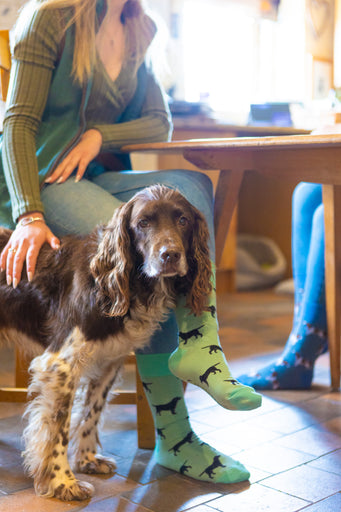 Adorable black Labrador socks set against a lovely light mint green background, designed for dog lovers and fans of countryside fashion. These cozy socks feature playful Labrador motifs, making them a perfect accessory for any casual outfit. Ideal for those who appreciate a touch of whimsy and comfort, these socks celebrate the bond between dogs and their owners while enhancing your country-inspired wardrobe