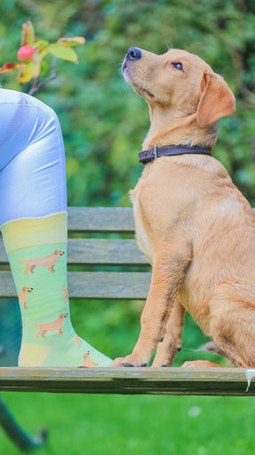 Show your country style and love for dogs with our red Labrador crew socks! Featuring playful Labrador designs, these vibrant and comfortable socks are perfect for dog lovers. Made from soft, breathable material, they’re ideal for any occasion, whether at home or out on the go. Elevate your look and showcase your passion for Labradors with every step!