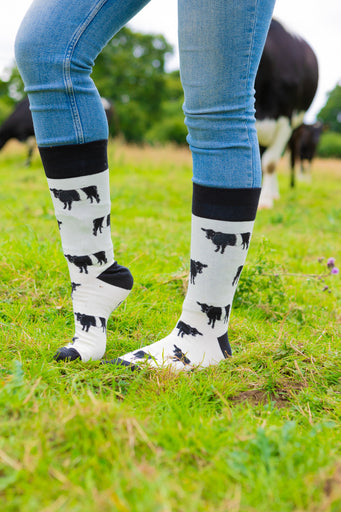 Belted Galloway cow socks designed with charming black and white Belted Galloway illustrations on a light cream background, complemented by black accents on the top, heel, and toe. These cozy socks are perfect for cow and countryside enthusiasts, offering a elegant touch to any country farm inspired outfit.