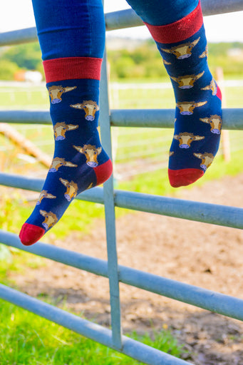 Cow socks featuring a vibrant red top, heel, and toe against a stylish navy blue background. These eye-catching brown cow socks blend playful cow motifs with a bold colour scheme, ideal for animal lovers and fashion enthusiasts alike. Perfect for adding a fun and unique touch to your sock collection while ensuring comfort for everyday wear.