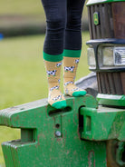 Cow socks that are designed not too fall down in a crew sock form. These cow socks are designed with black and white cows wearing green wellies on a mustard background with dark green top, heel and toe. 