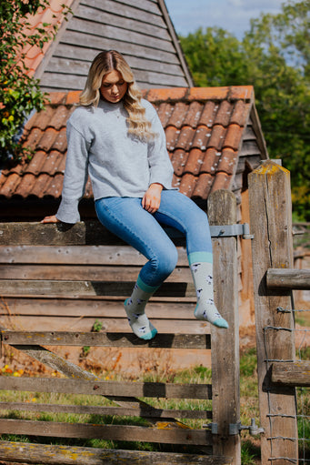 Valais Black Nose Sheep | Crew