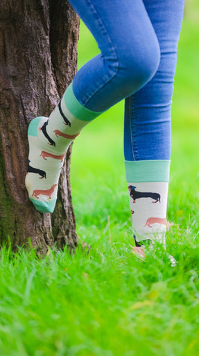 Step up your sock game with our green-themed dachshund socks adorned with adorable brown and black dachshunds. Perfect for adding a touch of whimsy to your country-style outfit, these cozy socks are ideal for dog lovers and outdoor adventures alike. Showcase your love for dachshunds with this fun and stylish accessory that brings comfort and charm to any ensemble!