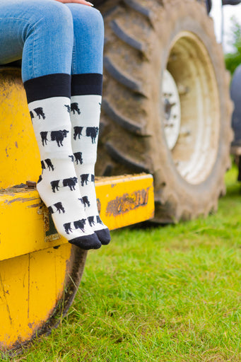 Belted Galloway cow socks designed with charming black and white Belted Galloway illustrations on a light cream background, complemented by black accents on the top, heel, and toe. These cozy socks are perfect for cow  and countryside enthusiasts, offering a elegant touch to any country farm inspired outfit.