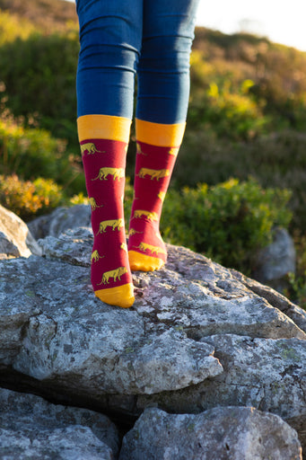 Bold lion socks featuring a striking bright red background adorned with playful lion graphics, complemented by bright yellow tops, heels, and toes. These eye-catching socks are perfect for animal lovers and those seeking to make a statement with their footwear. Ideal for adding a fun and vibrant touch to any outfit while ensuring comfort and style