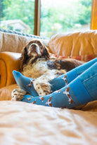 Adorable springer spaniel socks set against a lovely blue background, designed for dog lovers and countryside enthusiasts who appreciate country fashion. Featuring playful springer spaniel motifs, these cozy socks blend comfort and style, making them an ideal accessory for casual outings or relaxing at home. A perfect gift for pet lovers, adding a touch of charm to any outfit