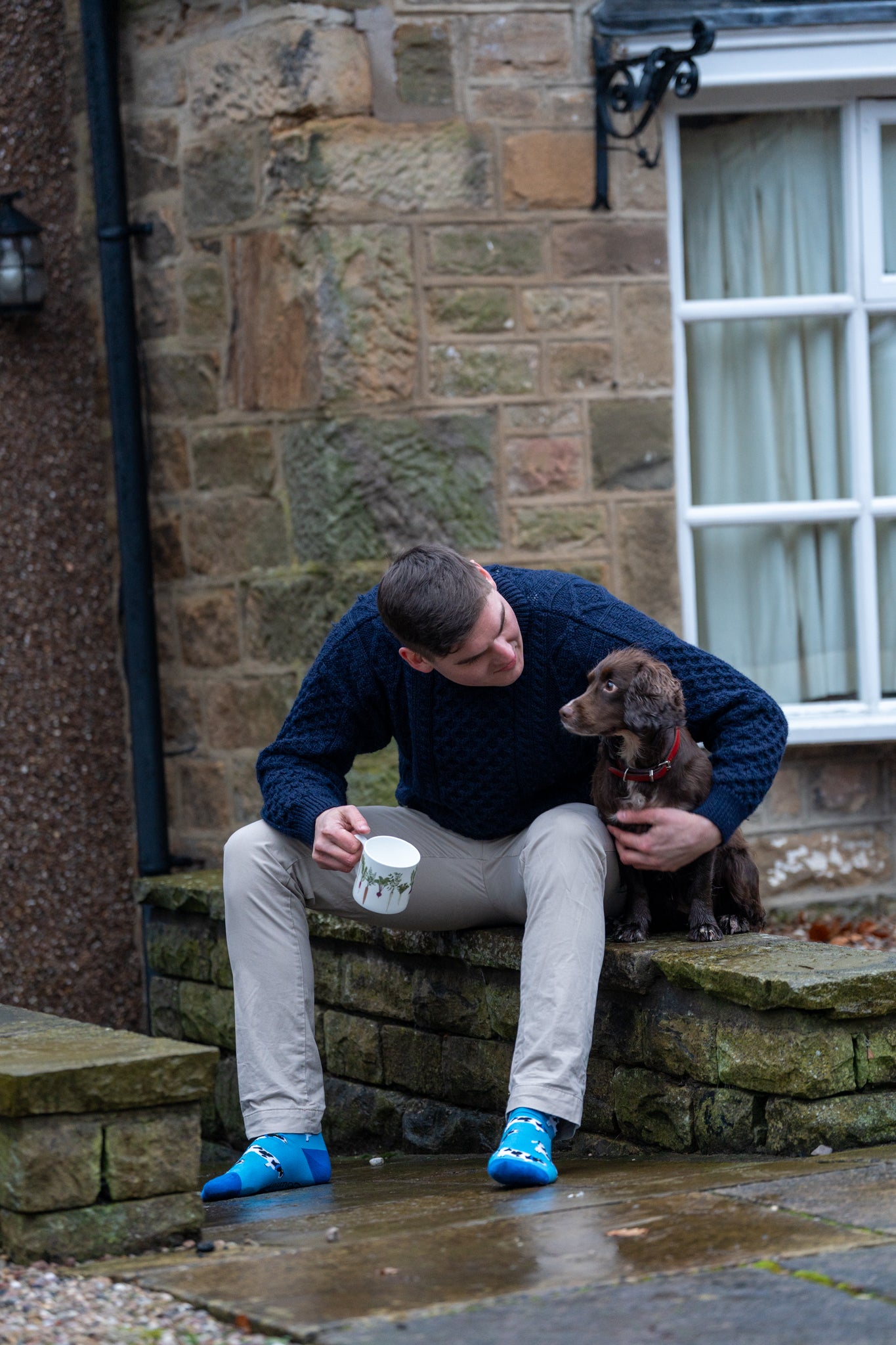 blue cow socks, crew style that is celebration themed.