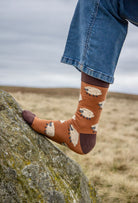 Unisex sheep socks. These cosy crew socks have cream sheep on a rich brown background and an even darker top, heel and toe for contrast. 