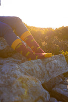 Bold lion socks featuring a striking bright red background adorned with playful lion graphics, complemented by bright yellow tops, heels, and toes. These eye-catching socks are perfect for animal lovers and those seeking to make a statement with their footwear. Ideal for adding a fun and vibrant touch to any outfit while ensuring comfort and style